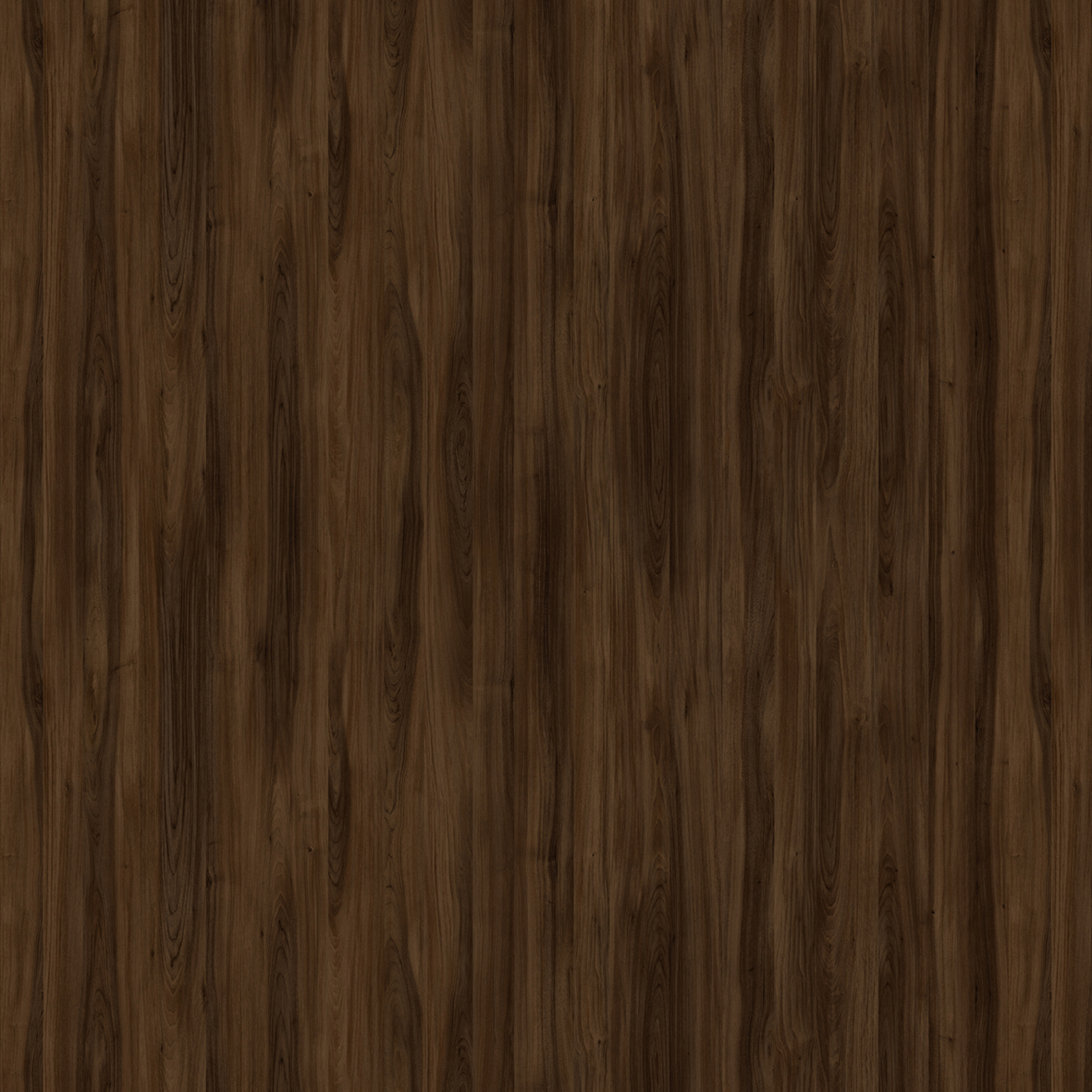 格莱维亚胡桃木