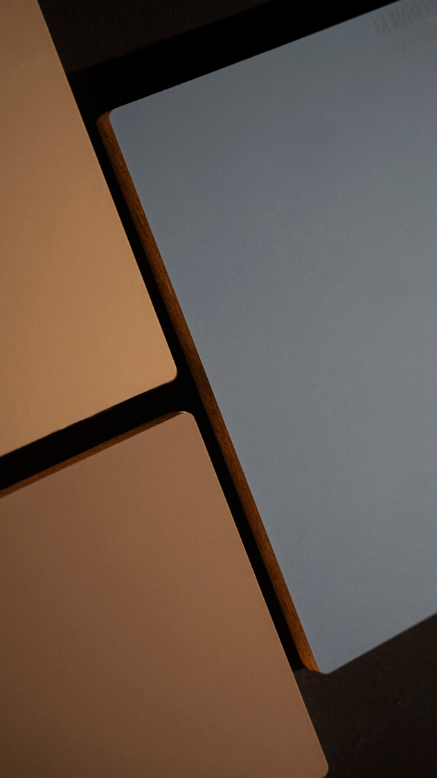 靓面板(172准分子饰面板)